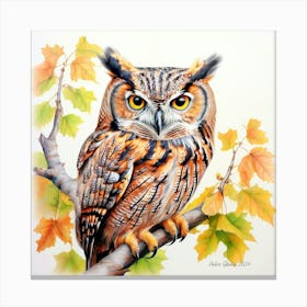 Owl by Peter Ghetu 2024 Canvas Print