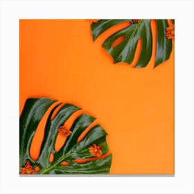 Tropical Leaves On Orange Background Canvas Print