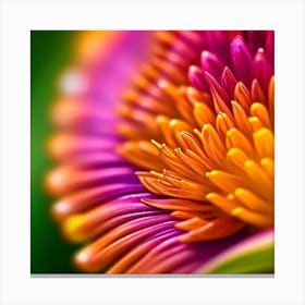 Close Up Of A Flower 2 Canvas Print