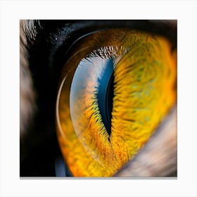 Eye Of A Cat Canvas Print