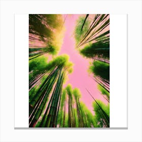 Bamboo Forest Canvas Print