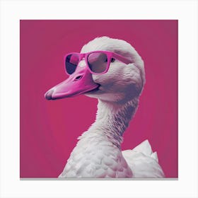 Duck In Pink Sunglasses Canvas Print