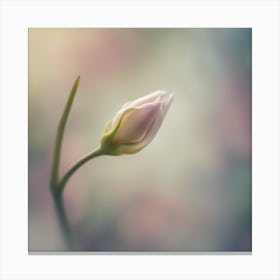 A Close Up Of A Delicate Flower Bud Just Beginning To Bloom, With Soft Petals And Hints Of Vibrant C (6) Canvas Print