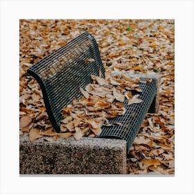 Autumn Leaves Canvas Print