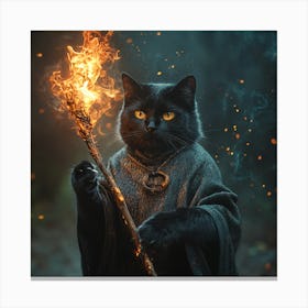 Wizard Cat Canvas Print