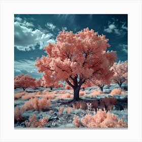 Infrared Photography Canvas Print