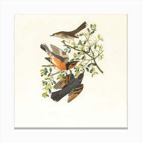 Birds On A Branch Canvas Print