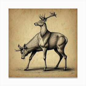 Stag And Deer Canvas Print