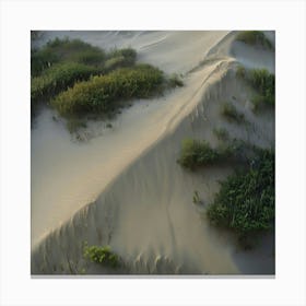 Sand Dunes 3 Canvas Print