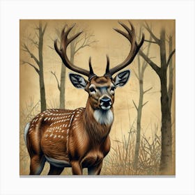 Deer In The Woods 30 Canvas Print