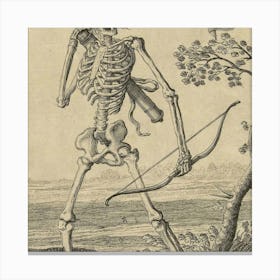 Skeleton With Bow And Arrow Canvas Print