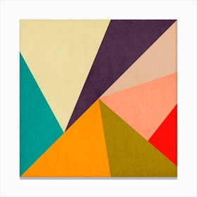 Vibrant colored bands 5 Canvas Print