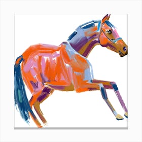 Arabian Horse 03 Canvas Print