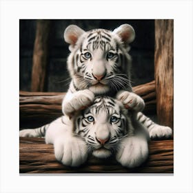 White Tiger Cubs Canvas Print