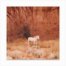 Desert Horse Canvas Print