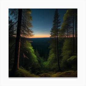 Sunset In The Forest 8 Canvas Print