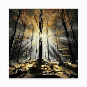 Dark Forest 29 Canvas Print