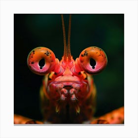 Shrimp With Big Eyes Canvas Print