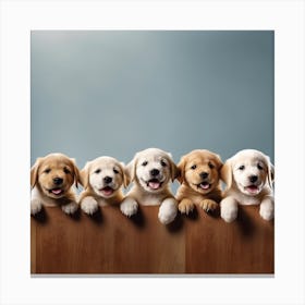 Puppy Stock Videos & Royalty-Free Footage 2 Canvas Print