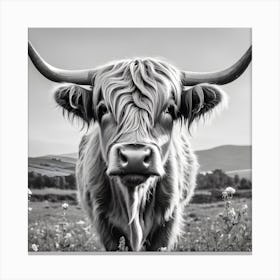 Highland Cow 9 Canvas Print