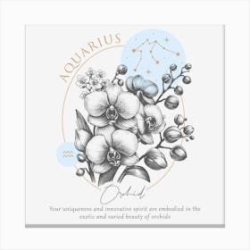 Aquarius Orchids Canvas Print