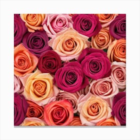 Colorful Roses Background 22 Canvas Print