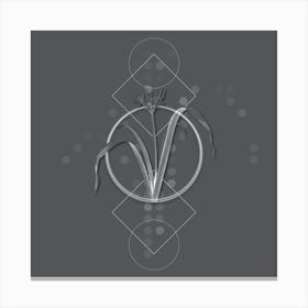 Vintage Small Flowered Pancratium Botanical with Line Motif and Dot Pattern in Ghost Gray Canvas Print