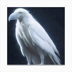 White Crow Canvas Print