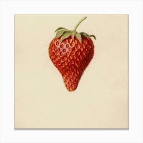 Fruit 6 Canvas Print