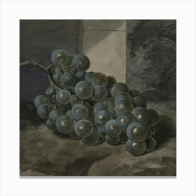 Fruit 12 1 Canvas Print