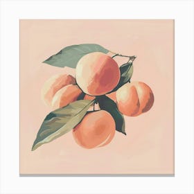 Peach Painting Canvas Print