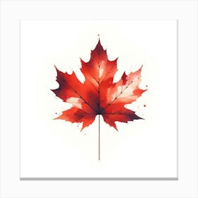 Canadian Maple Leaf Canvas Print