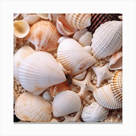 Sea Shells 4 Canvas Print