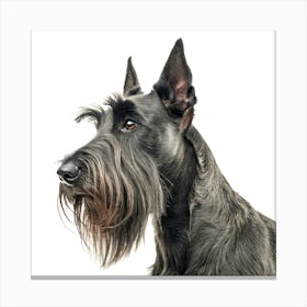 Scottish Terrier Dog Portrait Stampe su tela