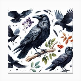 Ravens Canvas Print