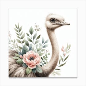 Ostrich Canvas Print