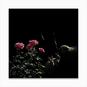 Sheep And Roses Canvas Print