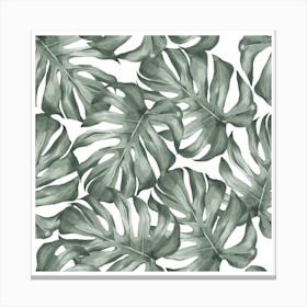 Minimalist Monstera Floral Pattern green Canvas Print