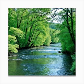 Green Forest River Canvas Print