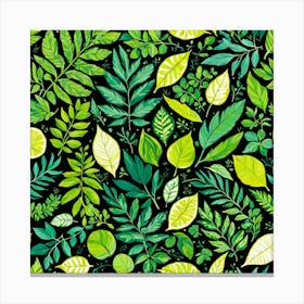 Green Leaves On Black Background, Different Types Of Leaves And Their Textures art print Canvas Print