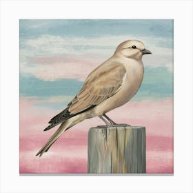 Sandpiper Canvas Print