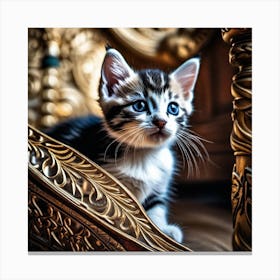 Kitty Cat 1 Canvas Print