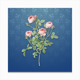 Vintage Burgundian Rose Botanical on Bahama Blue Pattern n.1418 Canvas Print