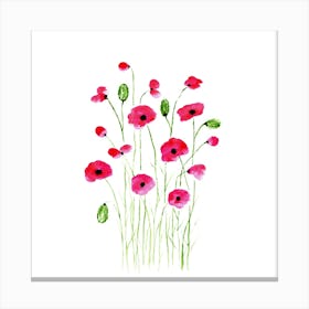 Poppies Canvas Print