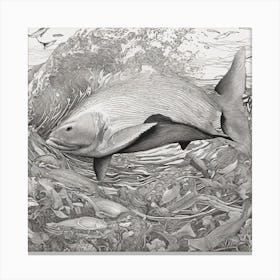Ocean Animal Li 0 Canvas Print