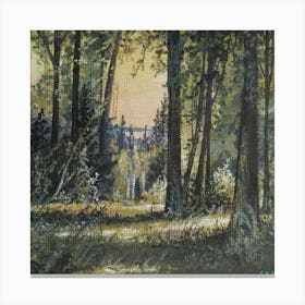 Dawn in the forest Canvas Print