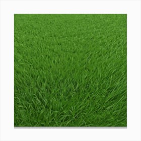 Green Grass 12 Canvas Print