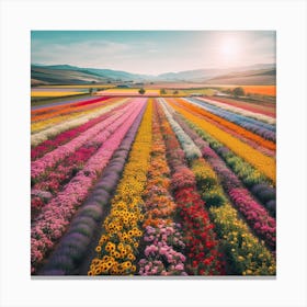Flower Fi Eld Canvas Print