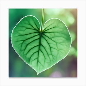 Heart Shaped Leaf Canvas Print