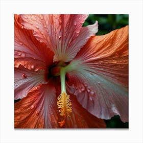 Hibiscus 1 Canvas Print